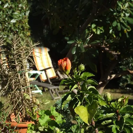 Πανσιόν La Masa